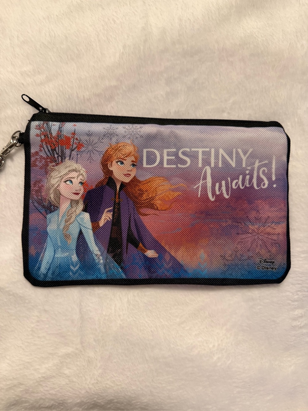 Buckle-Down Wallet Canvas Zip Pouch Frozen II Elsa and Anna